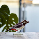 Glass Spotted Woodpecker