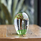 Glass Tree Paperweight