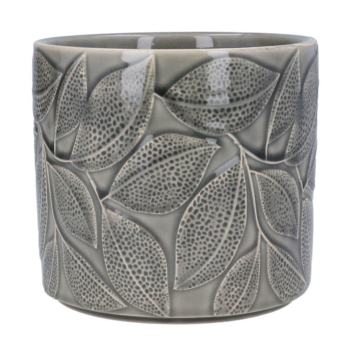 Grey Leaves Plant Pot Large