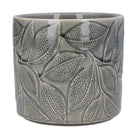 Grey Leaves Plant Pot Large