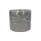 Grey Leaves Plant Pot Small