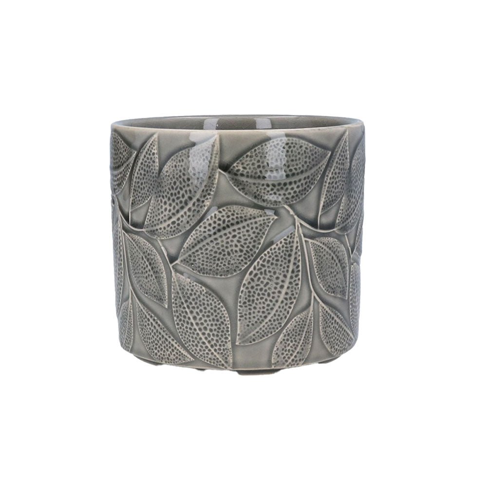 Grey Leaves Plant Pot Small