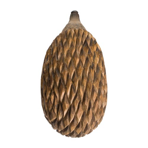 Hedgehog Carving