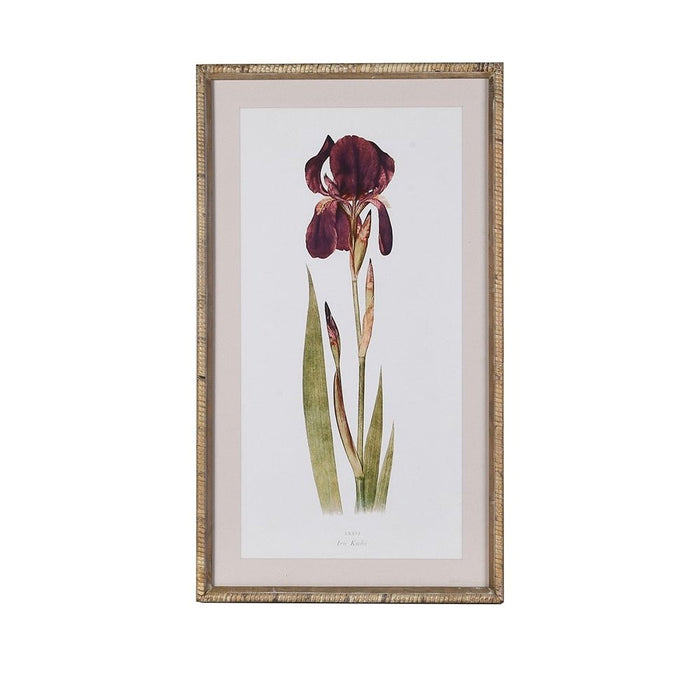 Vintage style print of a deep purple iris flower in a textured wicker-effect frame