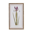 Iris Vintage Style Artwork