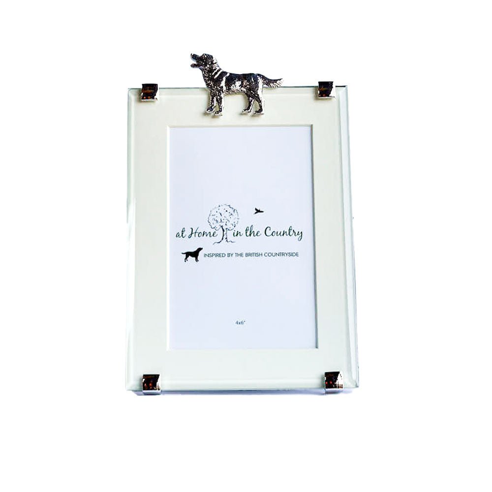 Labrador Photo Frame 4" x 6"