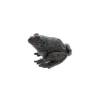 Large Frog - A