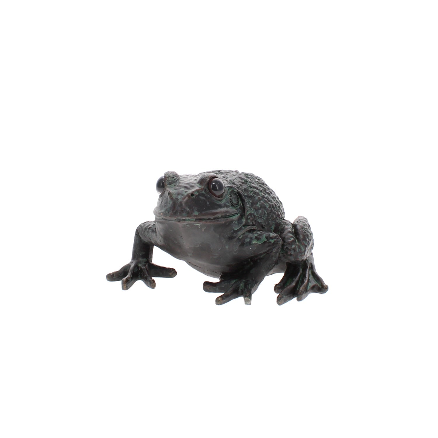 Large Frog - A