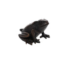 Large Frog - B