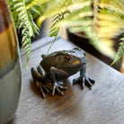 Large Frog - B