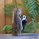 Lesser Spotted Woodpecker