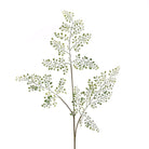 Maidenhair Fern Spray