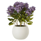 Medium Purple Hydrangea Plant In Pot