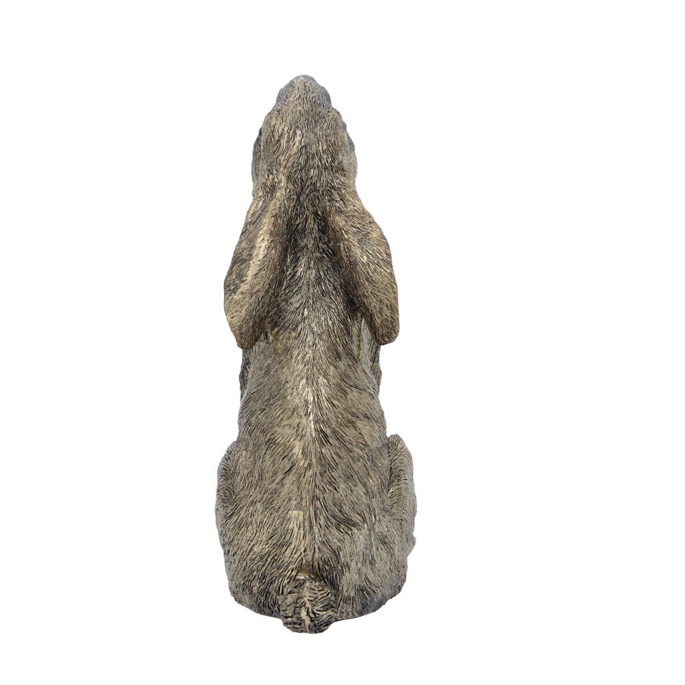 Moon Gazing Hare