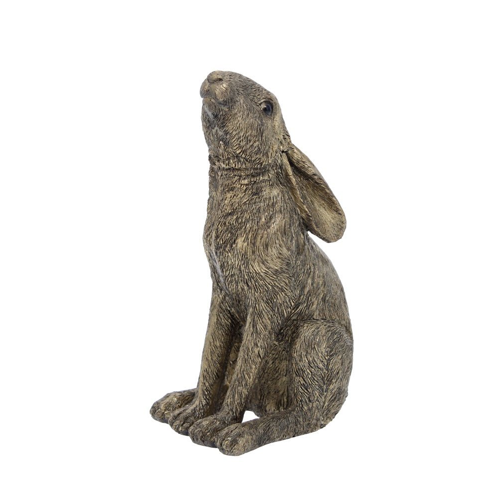 Moon Gazing Hare