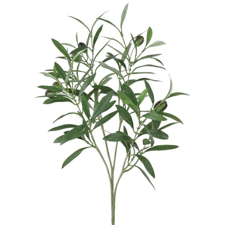 Olive Spray