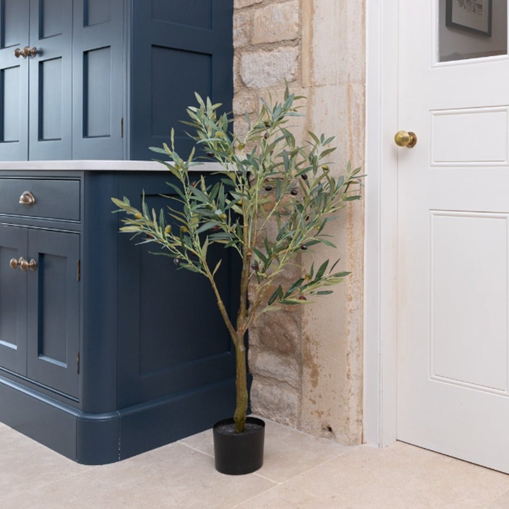 Olive Tree in Pot, 120cm - Angela Reed -