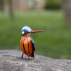 Painted Kingfisher