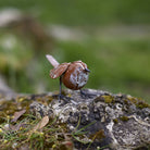 Painted Wren