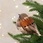 Partridge on a Clip