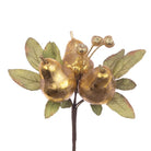 Pear Stem with Foliage