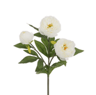 White Peony Spray, 3 Flowers,