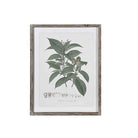 Perennial Herbs Wall Art, Assorted Designs