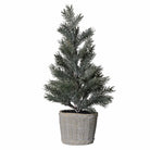 Pine Tree in Clay Pot - Angela Reed - Christmas Decorations
