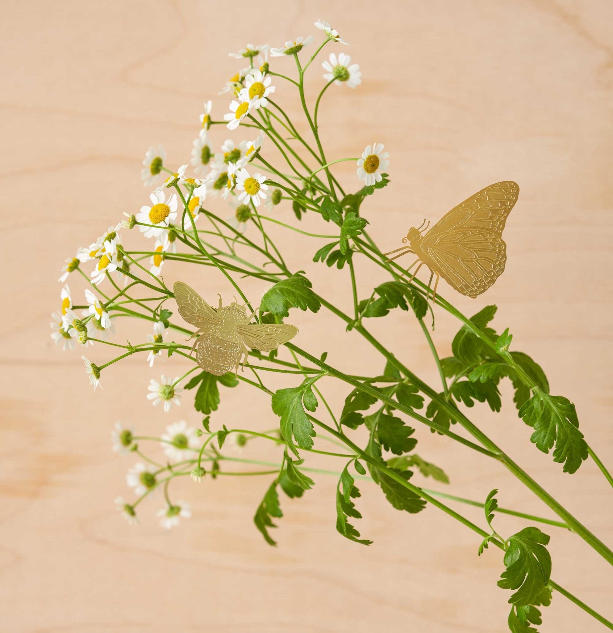 Plant Animal - Butterfly, House Plant Decoration