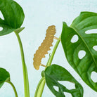 Plant Animal - Caterpillar, Insect Plant Charm