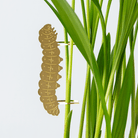 Plant Animal - Caterpillar, Insect Plant Charm