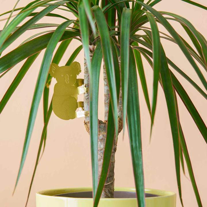 Plant Animal - Koala Bear, Plant Hugger Decoration