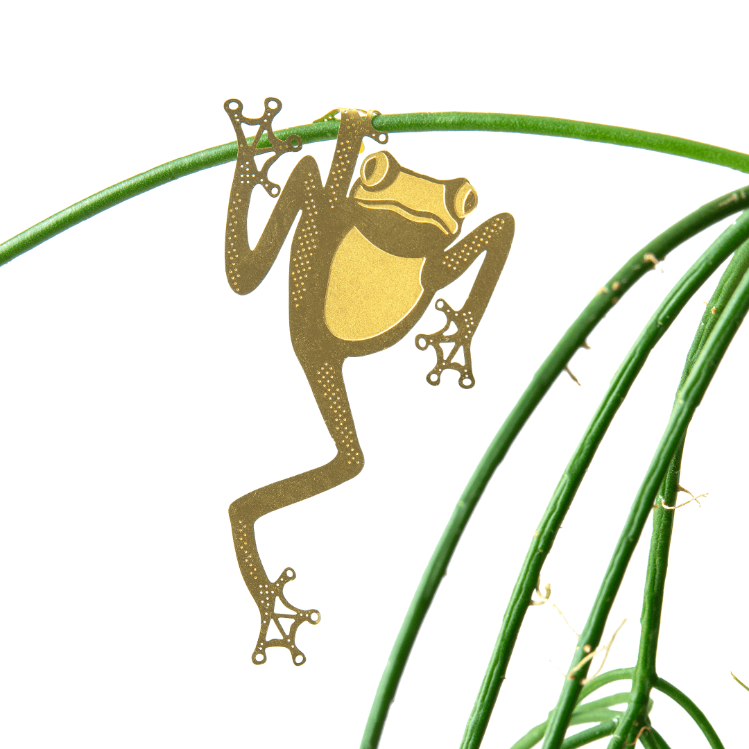 Plant Animal - Tree Frog, Unique House Plant Gift