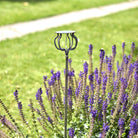 Poppy on Stake