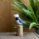 Puffin with Fish on a Stump