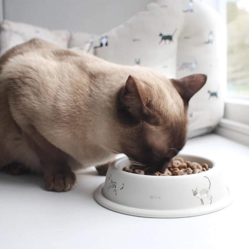 Purrfect Metal Cat Bowl