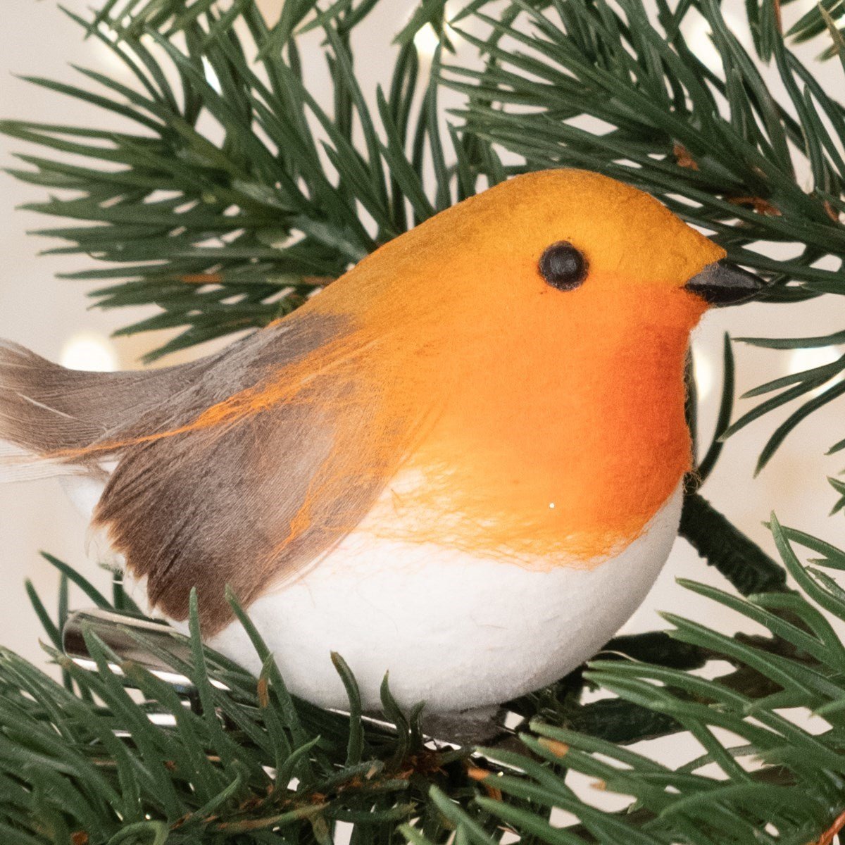 Robin on a Clip