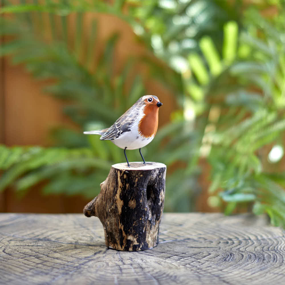 Robin on a Stump