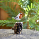 Robin on a Stump