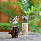 Robin on a Stump