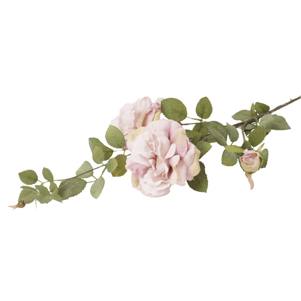 Rosa Koko Loko