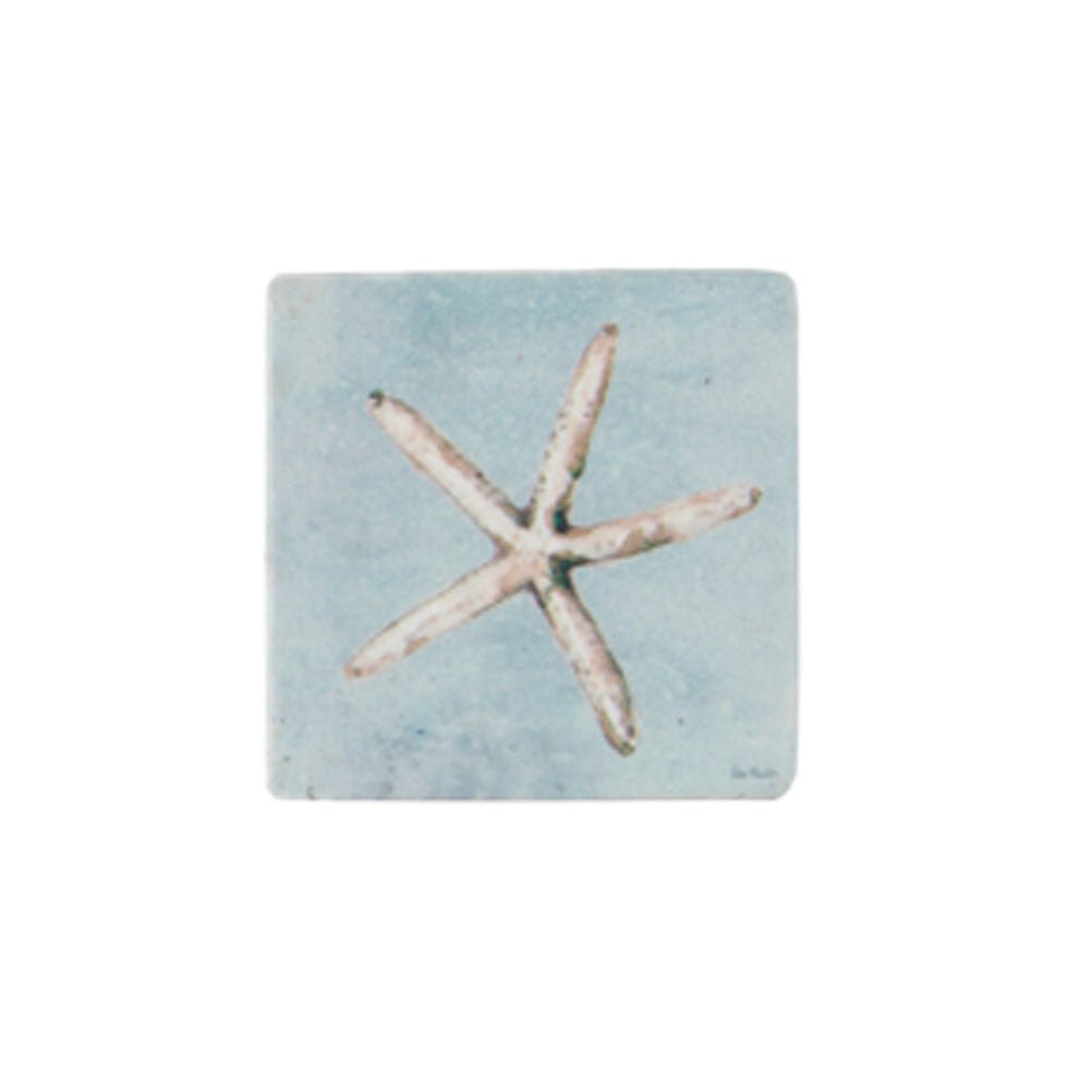 Shell Coaster