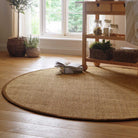 Sisal Rug in Natural with Dark Brown Border 120 x 170cm,160 x 230cm,200 x 290cm,67 x 200cm