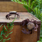 Small Wooden Crab