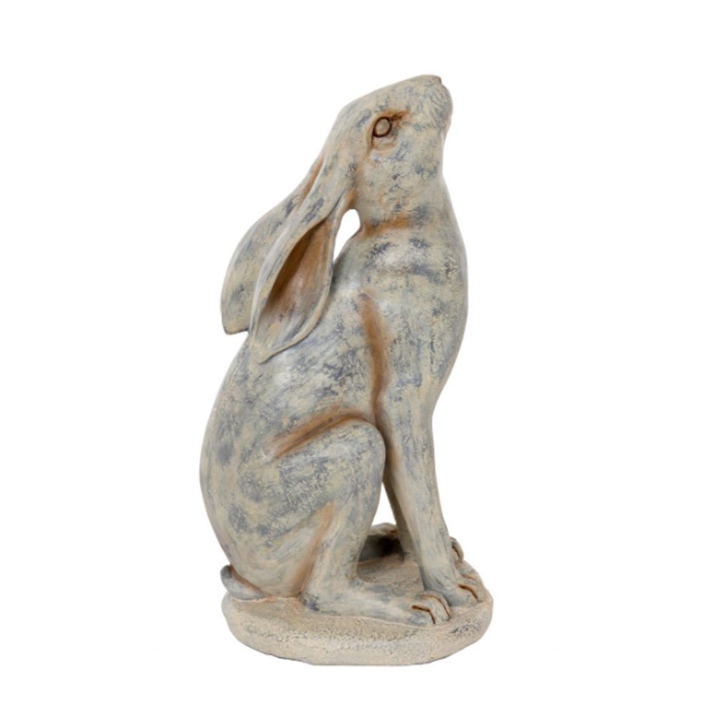 Stargazing Hare