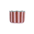 Tulip Basket Strawberry Mini,Large,Extra Large