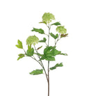 Viburnum Spray