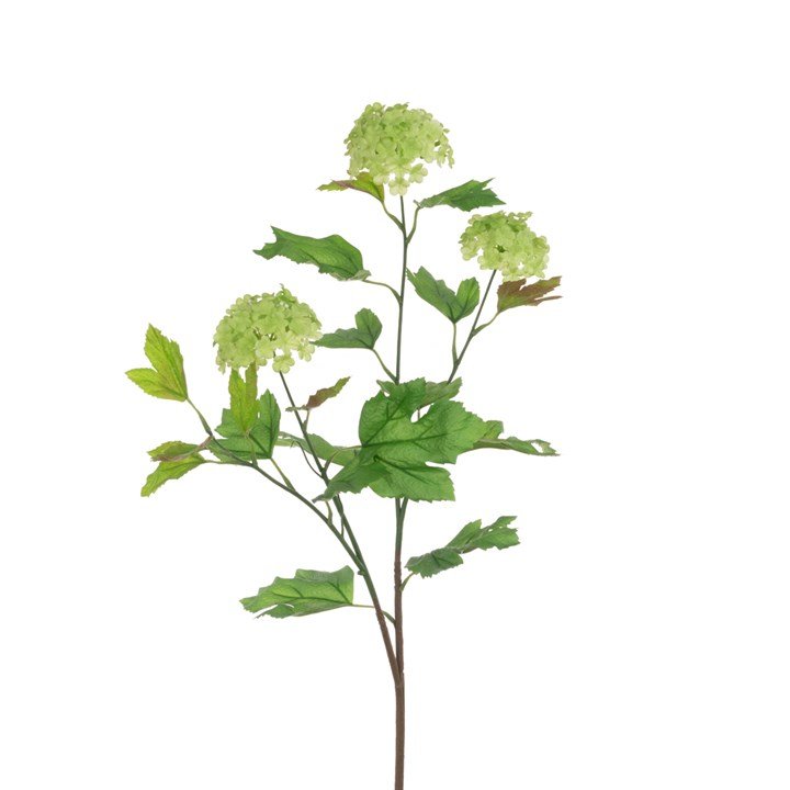 Viburnum Spray