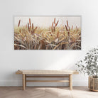 Whispering Cattails