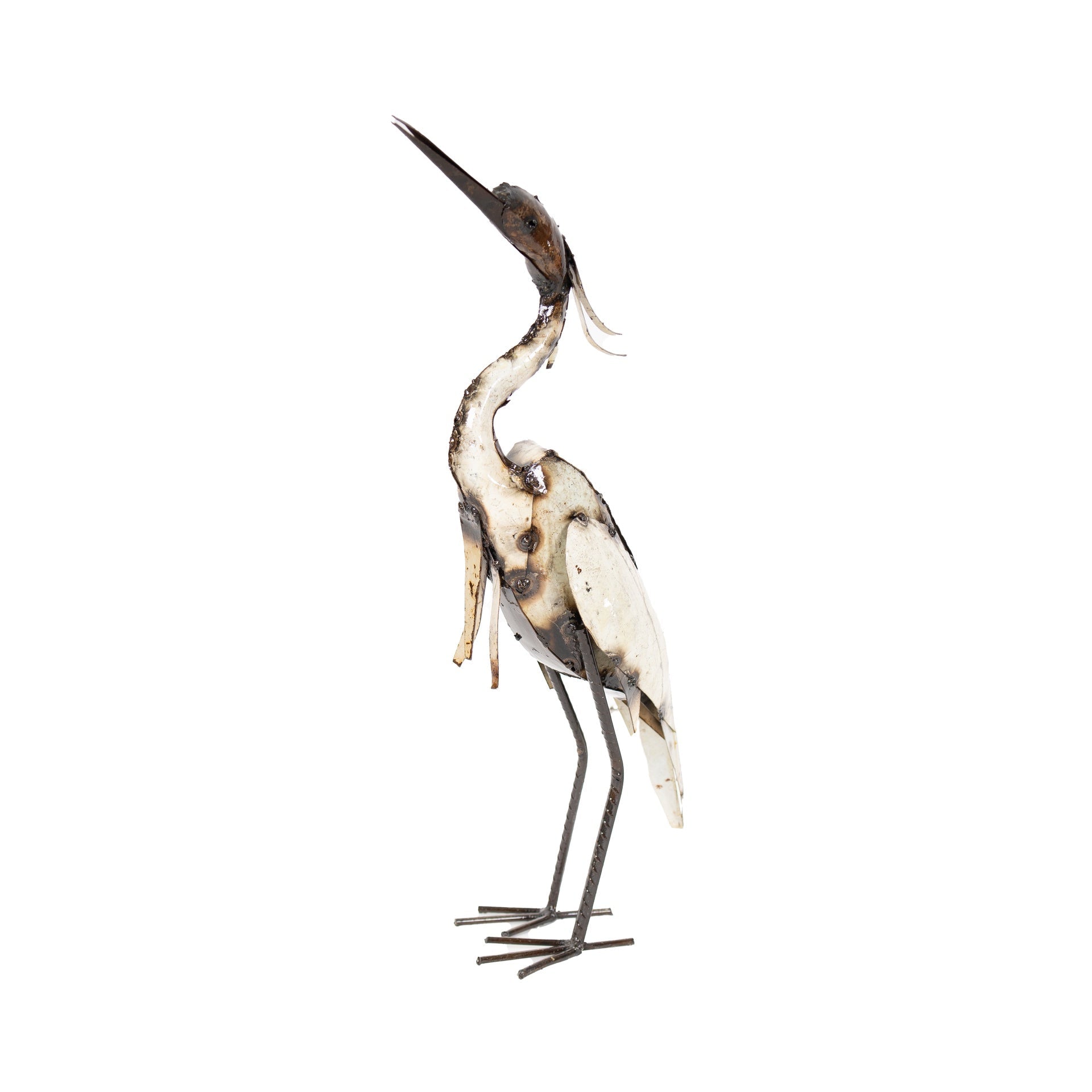 White Egret